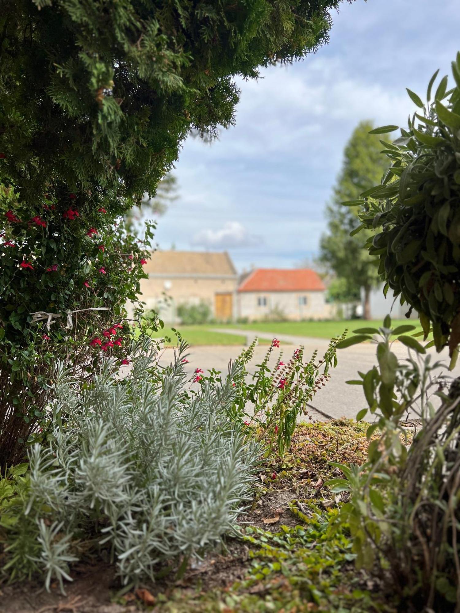 Bezdan Guesthouse Exterior photo